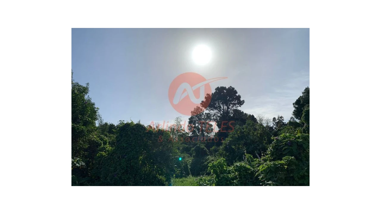 Terreno para Venda em Angra (São Pedro) Foto 12