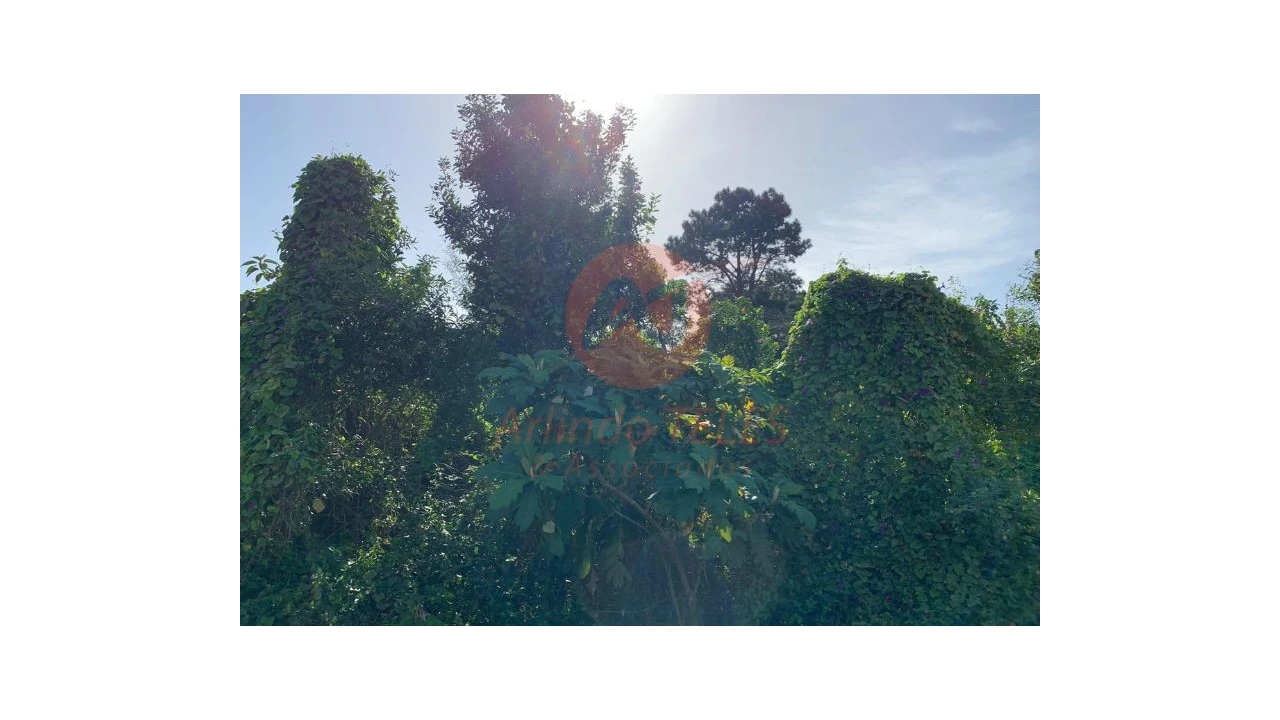 Terreno para Venda em Angra (São Pedro) Foto 18