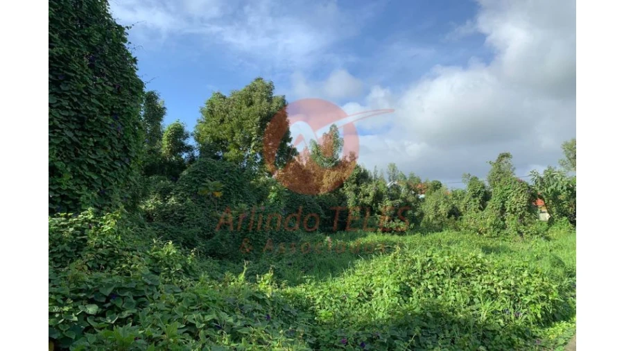 Terreno para Venda em Angra (São Pedro) Foto 16