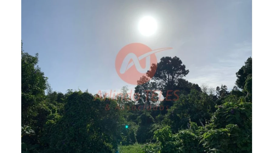 Terreno para Venda em Angra (São Pedro) Foto 12