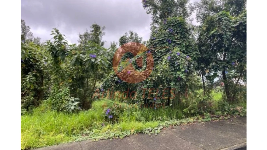 Terreno para Venda em Angra (São Pedro) Foto 25