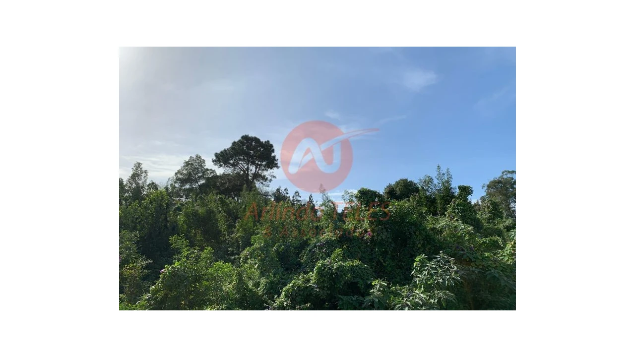 Terreno para Venda em Angra (São Pedro) Foto 19