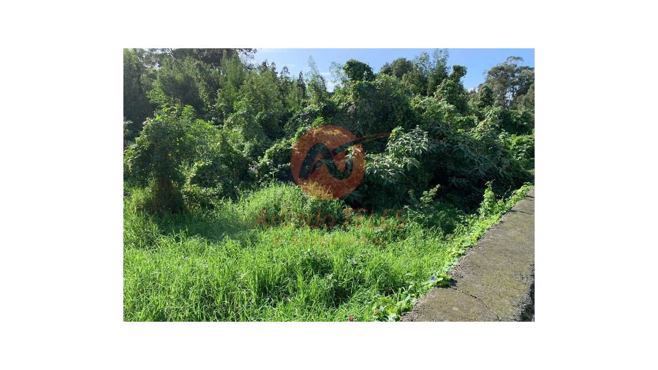 Terreno para Venda em Angra (São Pedro) Foto 21