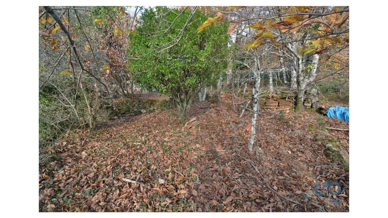 Moradia T2 para Venda em Espinhal Foto 12