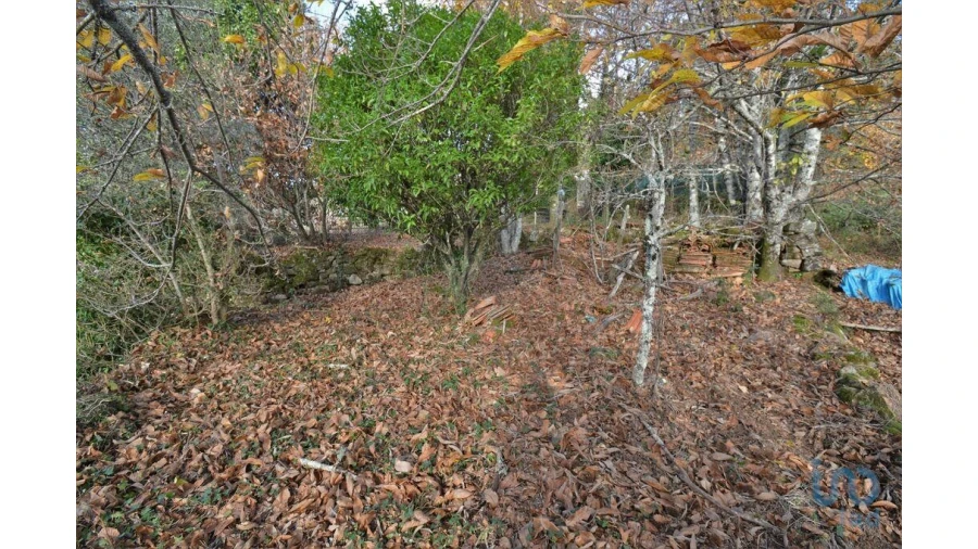 Moradia T2 para Venda em Espinhal Foto 12