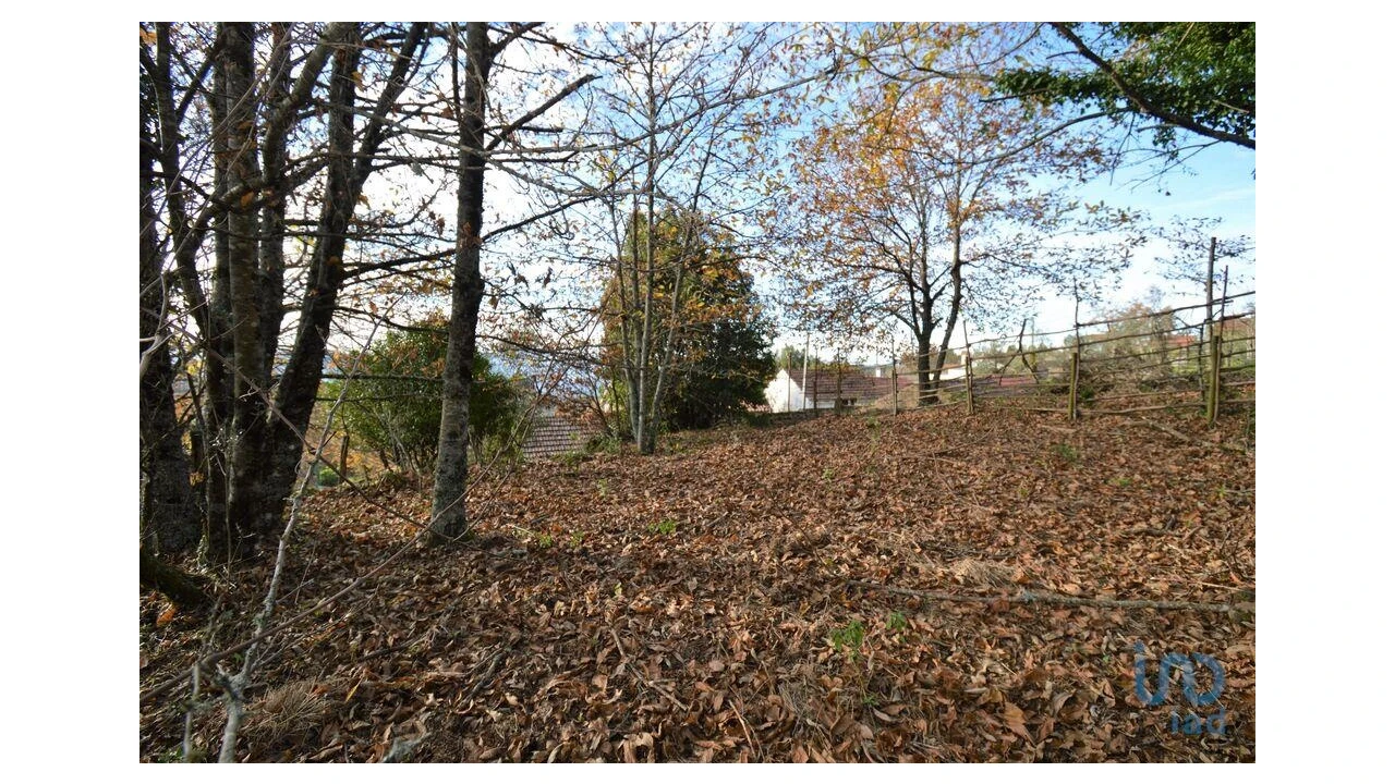 Moradia T2 para Venda em Espinhal Foto 14