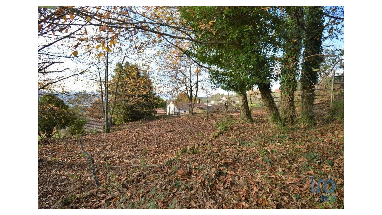 Moradia T2 para Venda em Espinhal Foto 15