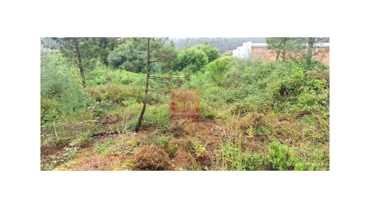 Terreno para Venda em Fragoso Foto 4