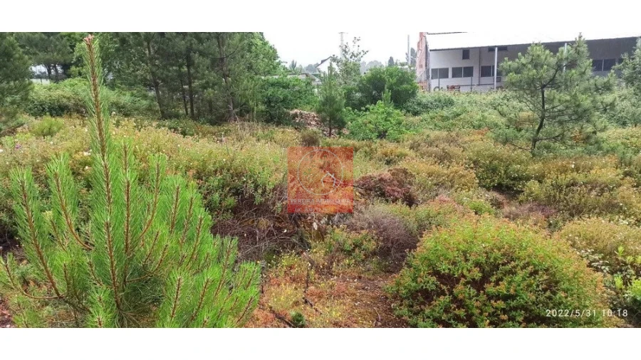 Terreno para Venda em Fragoso Foto 3