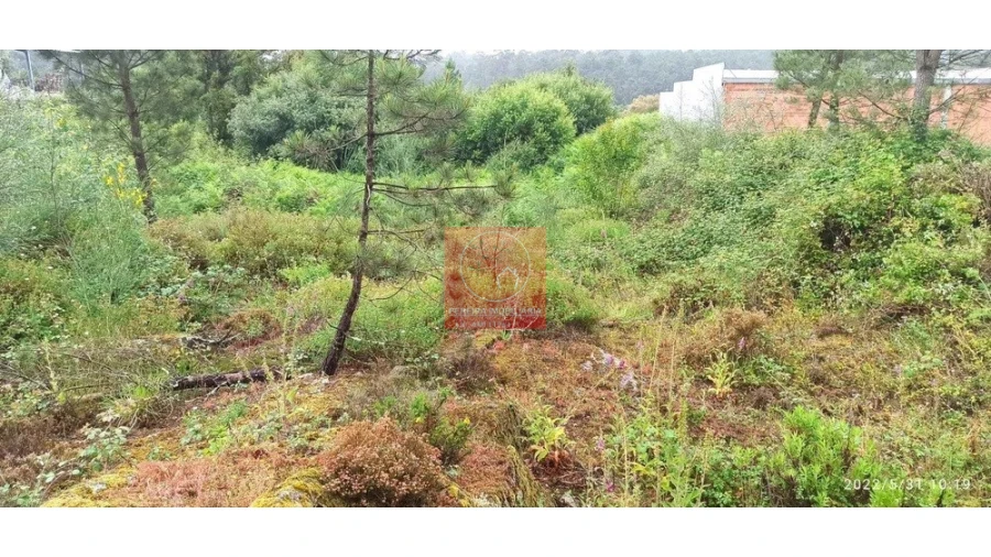 Terreno para Venda em Fragoso Foto 4