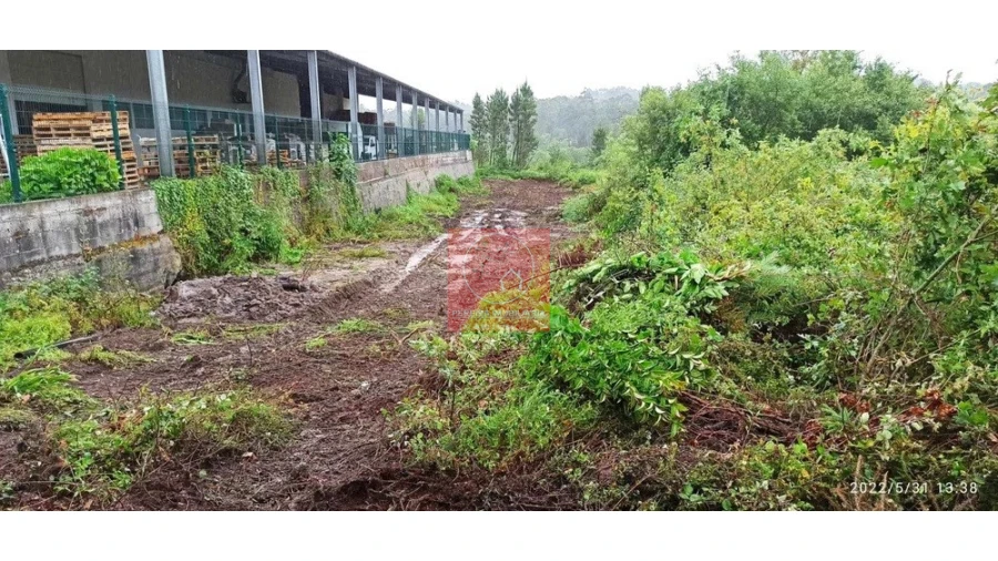 Terreno para Venda em Fragoso Foto 6
