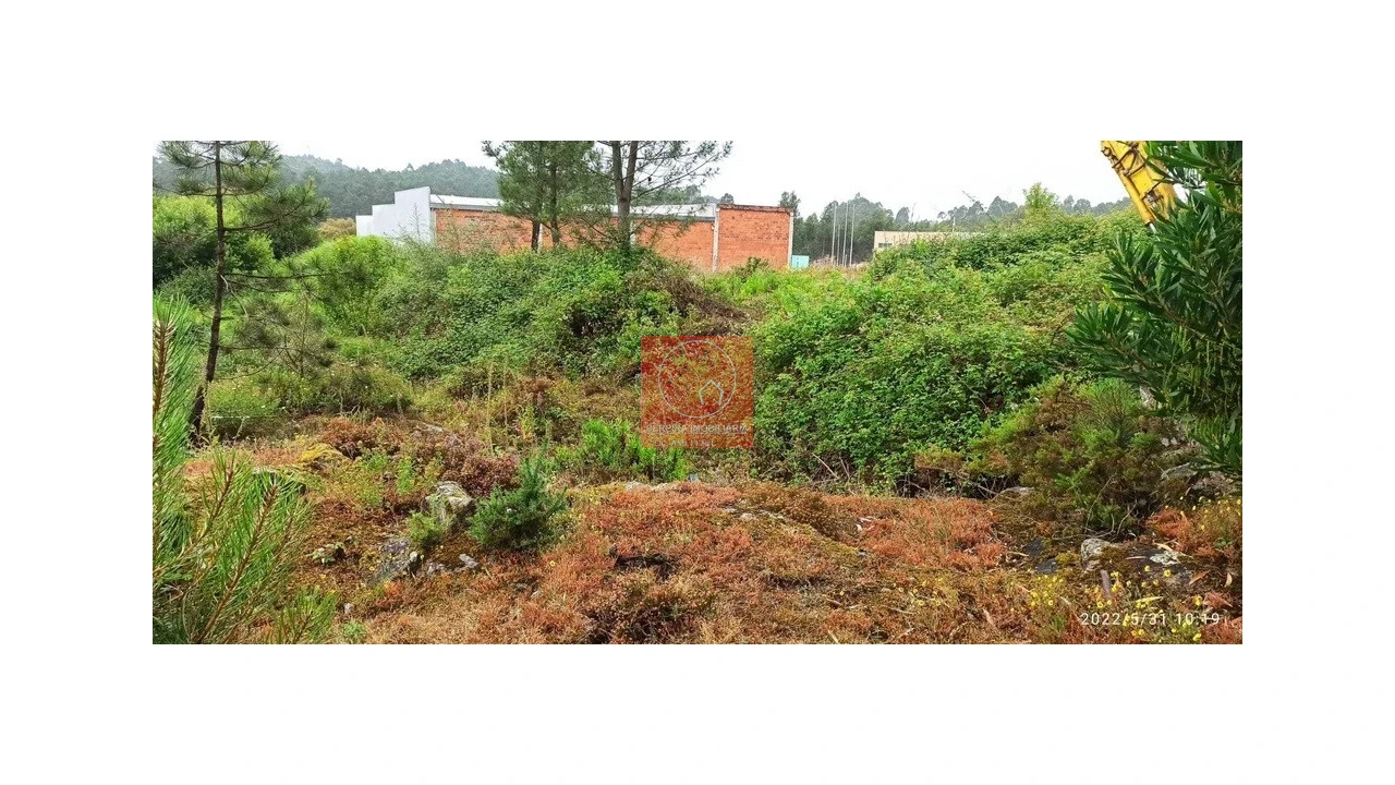 Terreno para Venda em Fragoso Foto 5