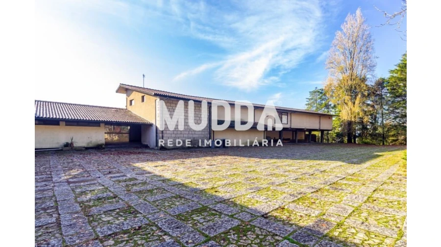 Negócio para Venda em O. Azeméis, Riba-Ul, Ul, Macinhata Seixa, Madail Foto 3