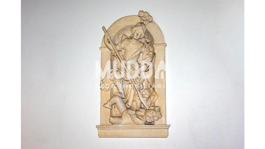 Negócio para Venda em O. Azeméis, Riba-Ul, Ul, Macinhata Seixa, Madail Foto 43