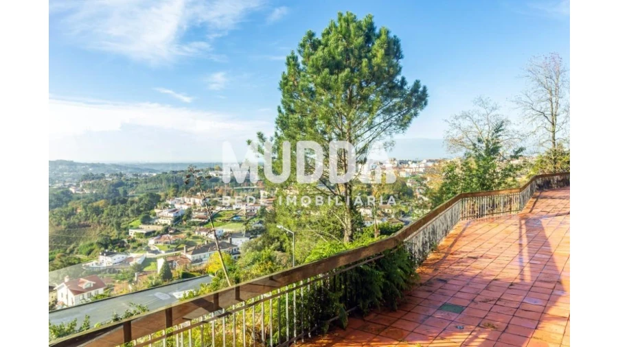 Negócio para Venda em O. Azeméis, Riba-Ul, Ul, Macinhata Seixa, Madail Foto 5