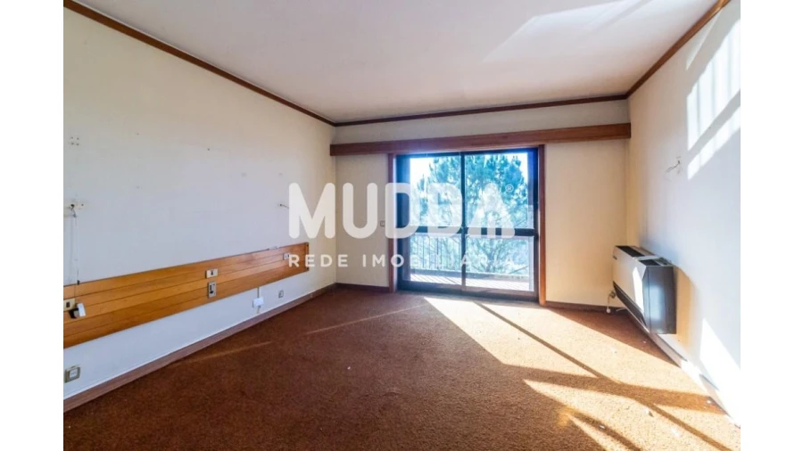 Negócio para Venda em O. Azeméis, Riba-Ul, Ul, Macinhata Seixa, Madail Foto 39