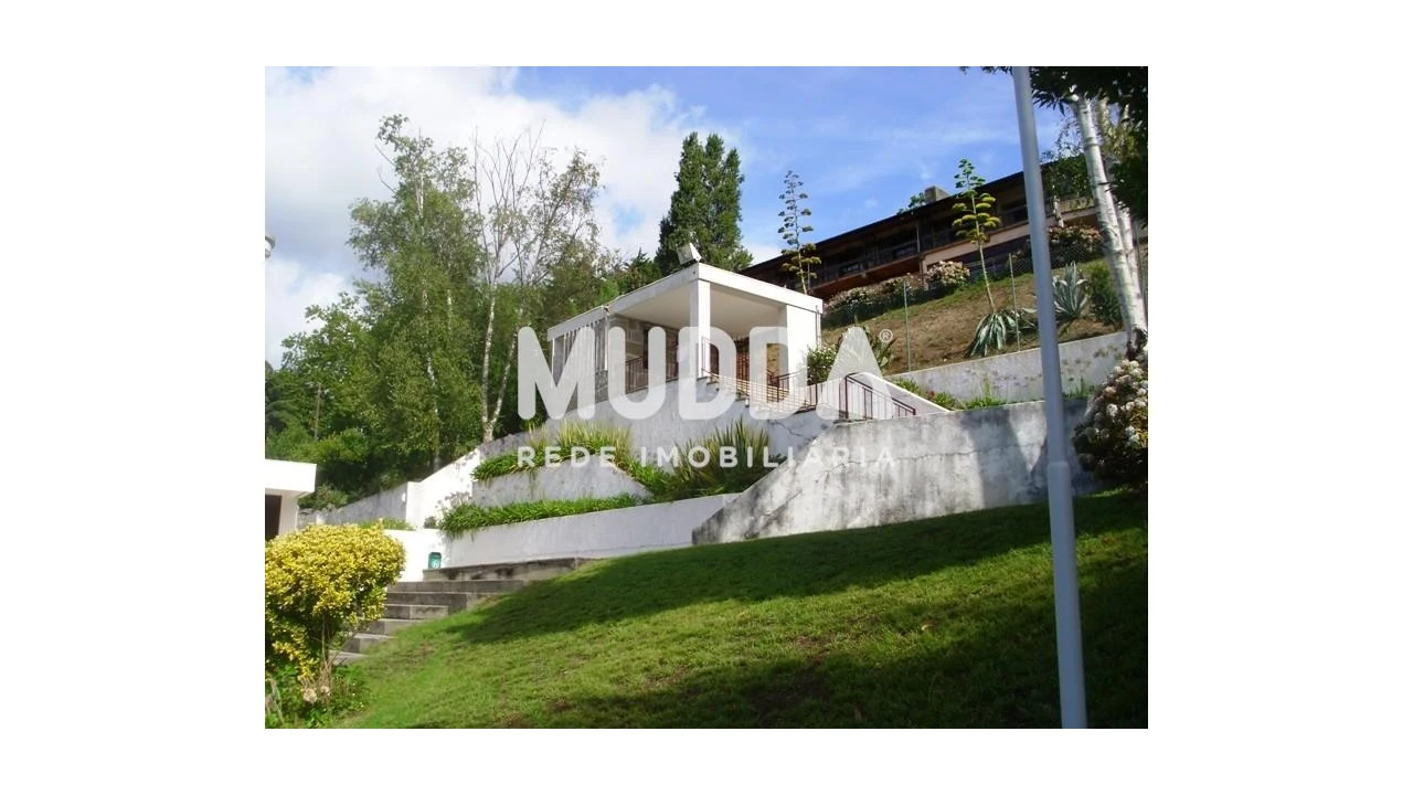 Negócio para Venda em O. Azeméis, Riba-Ul, Ul, Macinhata Seixa, Madail Foto 45