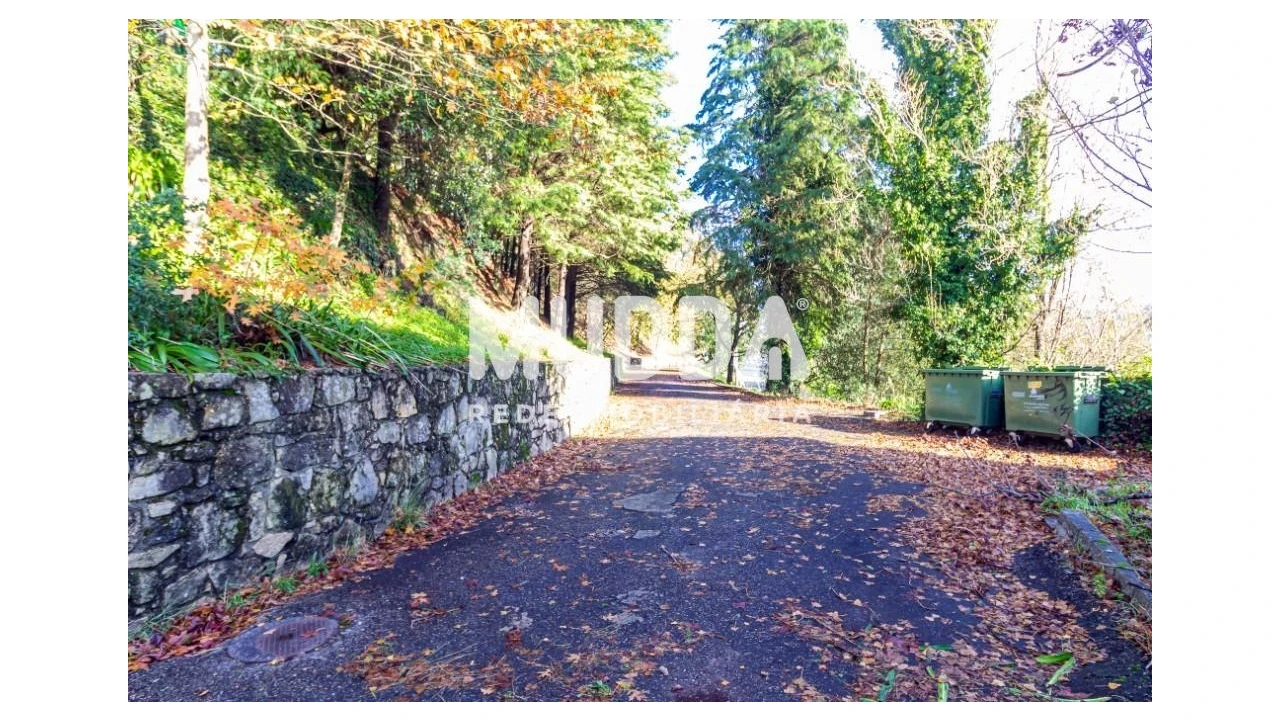 Negócio para Venda em O. Azeméis, Riba-Ul, Ul, Macinhata Seixa, Madail Foto 44