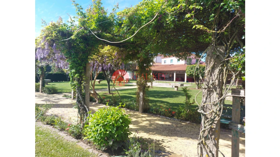 Quinta T6 para Venda em Arca e Ponte de Lima Foto 49