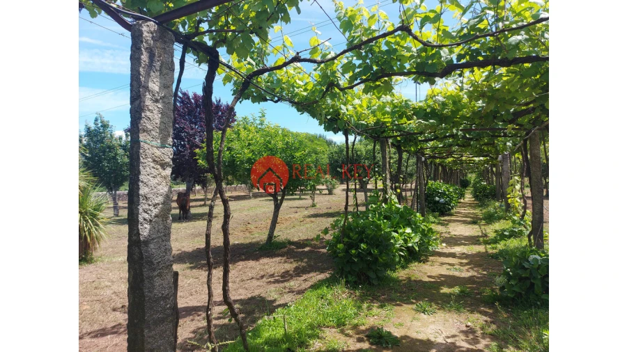 Quinta T6 para Venda em Arca e Ponte de Lima Foto 46