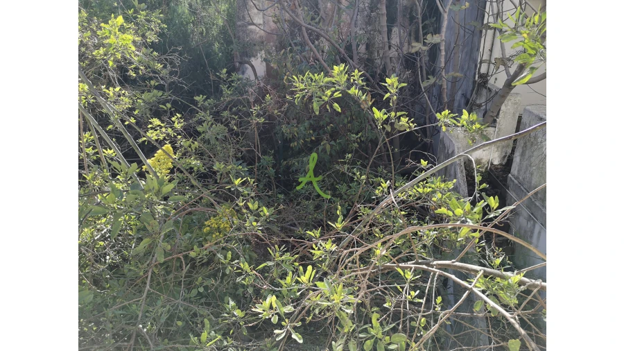 Prédio para Venda em Portimão Foto 37
