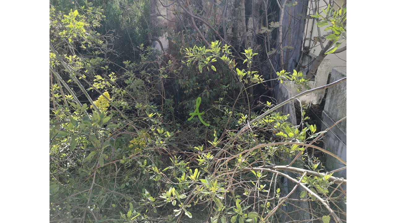 Prédio para Venda em Portimão Foto 37
