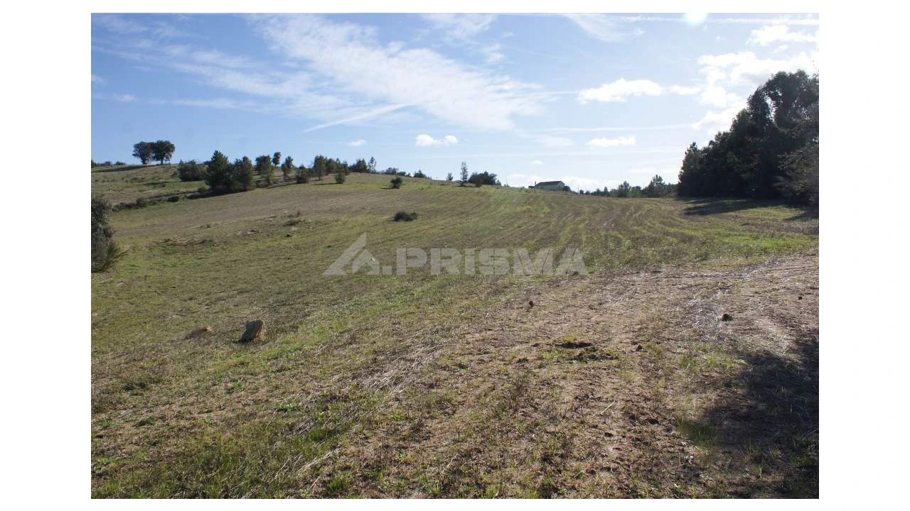 Terreno para Venda em Vale de Prazeres e Mata da Rainha Foto 3