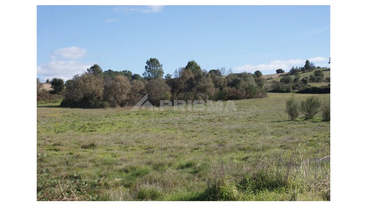 Terreno para Venda em Vale de Prazeres e Mata da Rainha Foto 28
