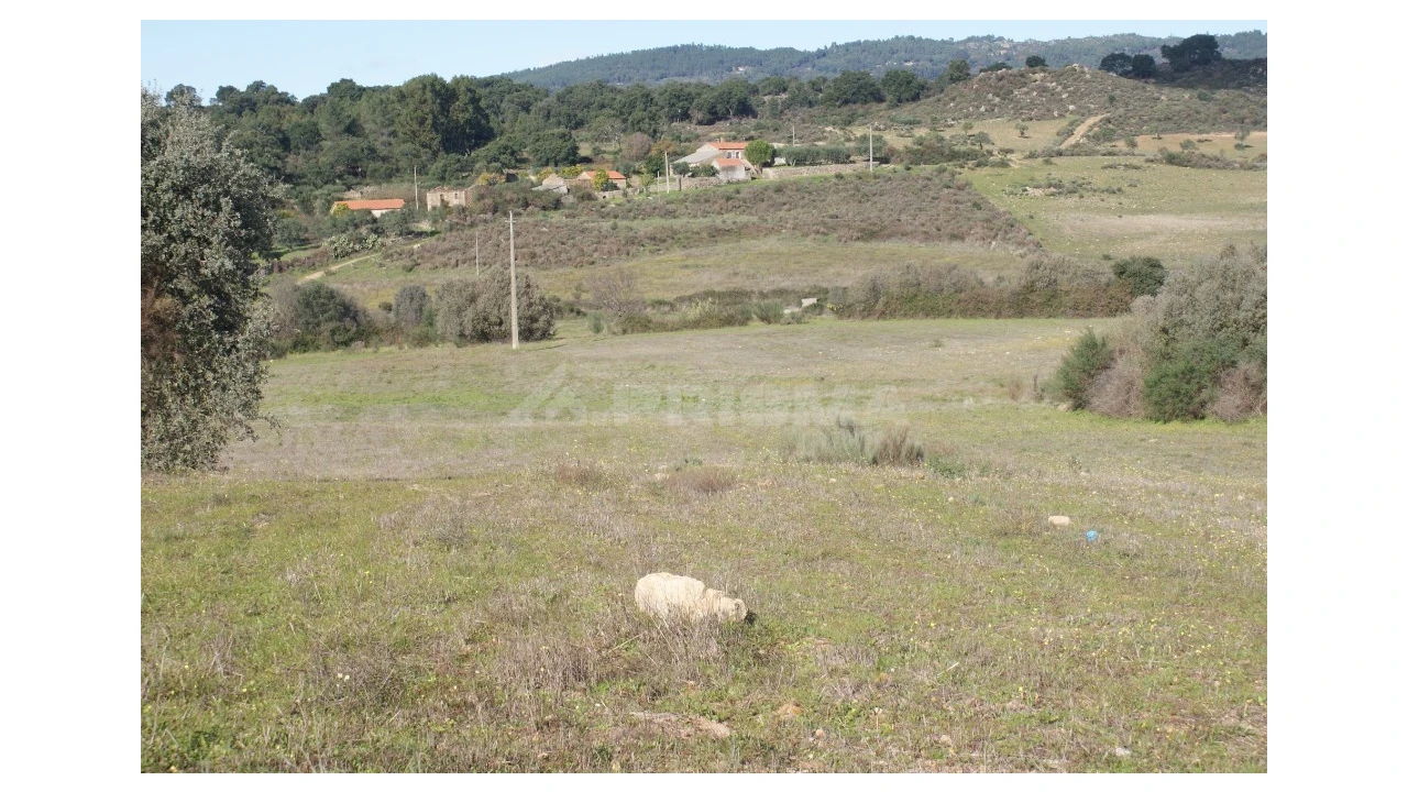 Terreno para Venda em Vale de Prazeres e Mata da Rainha Foto 8