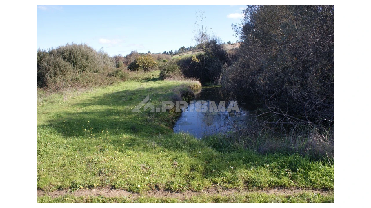 Terreno para Venda em Vale de Prazeres e Mata da Rainha Foto 6