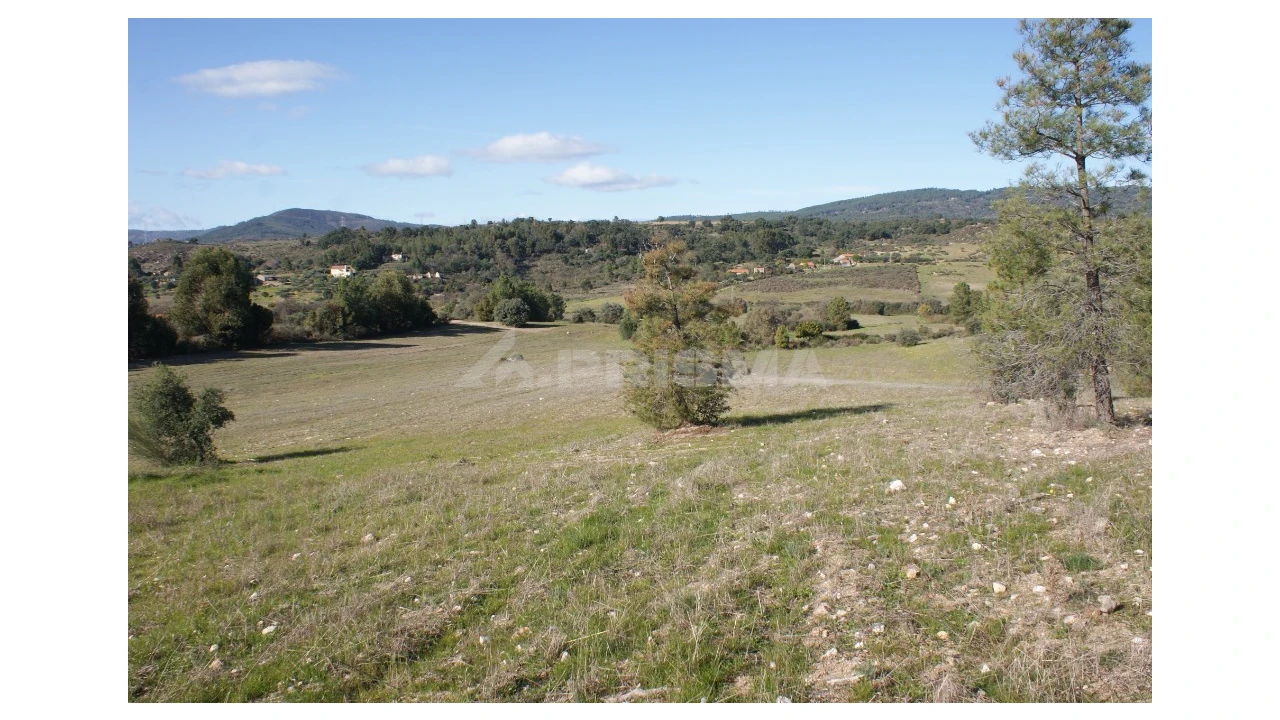 Terreno para Venda em Vale de Prazeres e Mata da Rainha Foto 30