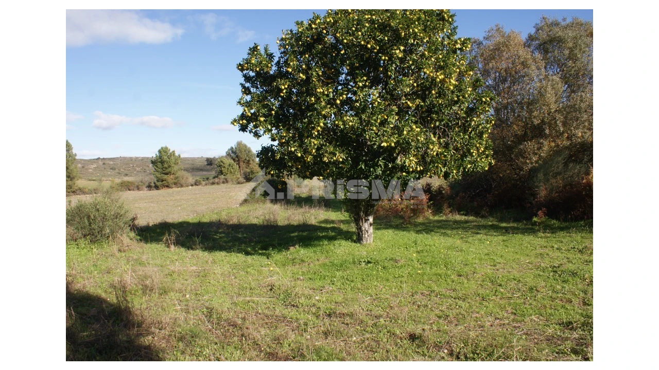 Terreno para Venda em Vale de Prazeres e Mata da Rainha Foto 2