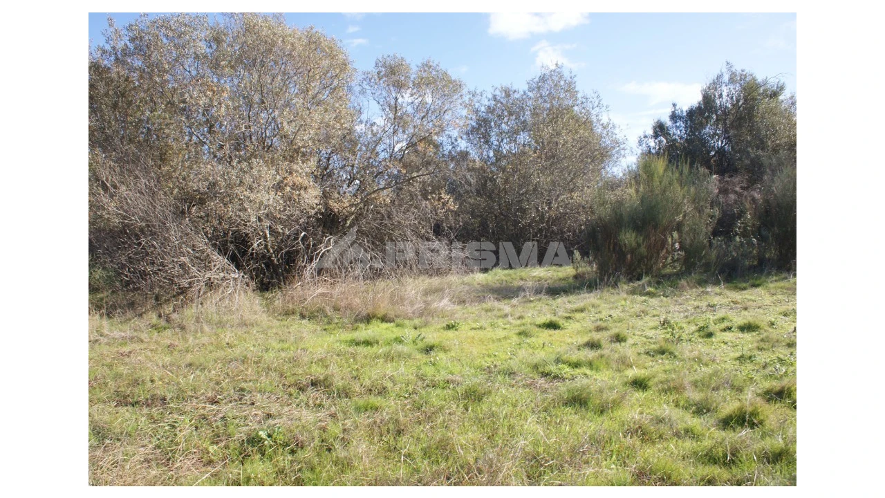 Terreno para Venda em Vale de Prazeres e Mata da Rainha Foto 16