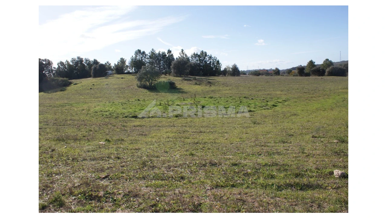 Terreno para Venda em Vale de Prazeres e Mata da Rainha Foto 13