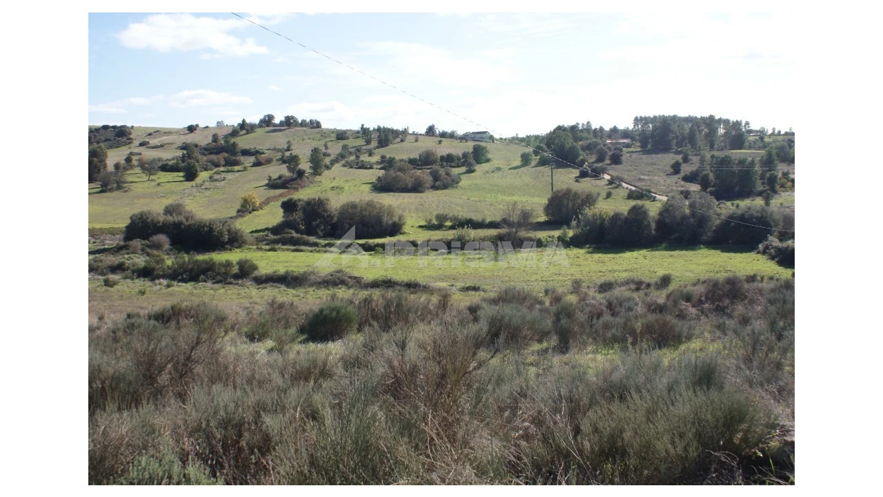 Terreno para Venda em Vale de Prazeres e Mata da Rainha Foto 25