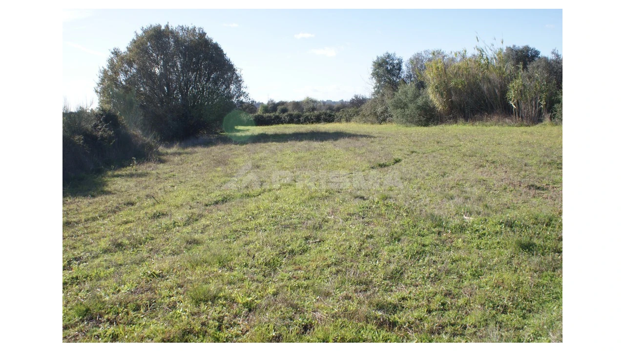 Terreno para Venda em Vale de Prazeres e Mata da Rainha Foto 5