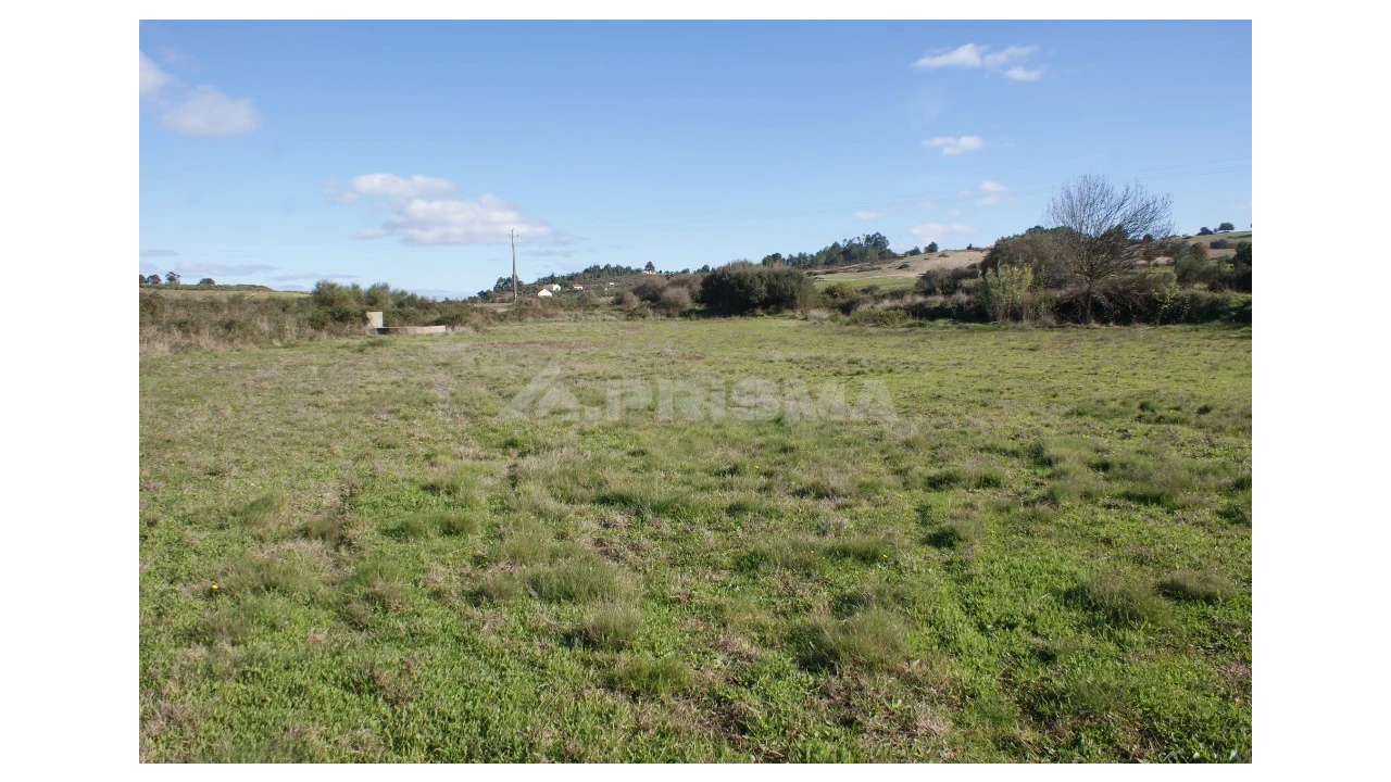Terreno para Venda em Vale de Prazeres e Mata da Rainha Foto 24