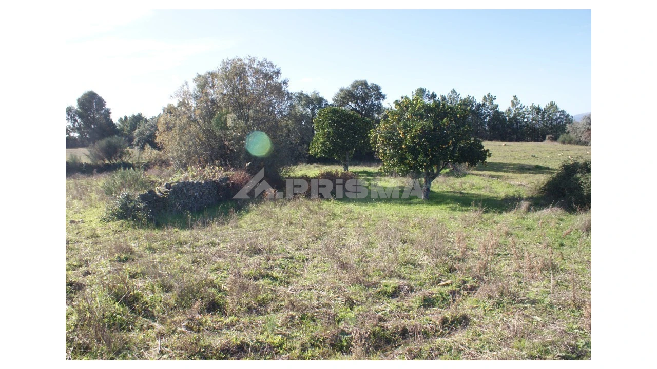 Terreno para Venda em Vale de Prazeres e Mata da Rainha Foto 11