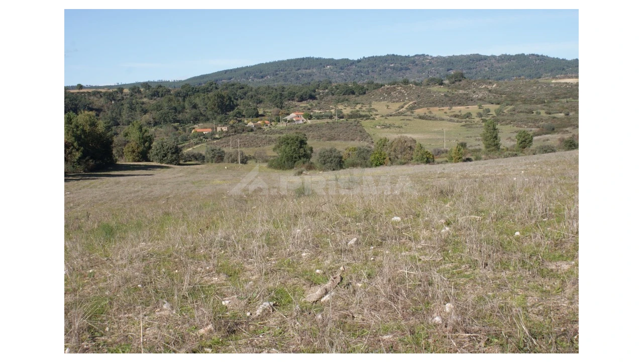 Terreno para Venda em Vale de Prazeres e Mata da Rainha Foto 29