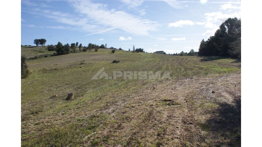 Terreno para Venda em Vale de Prazeres e Mata da Rainha Foto 3