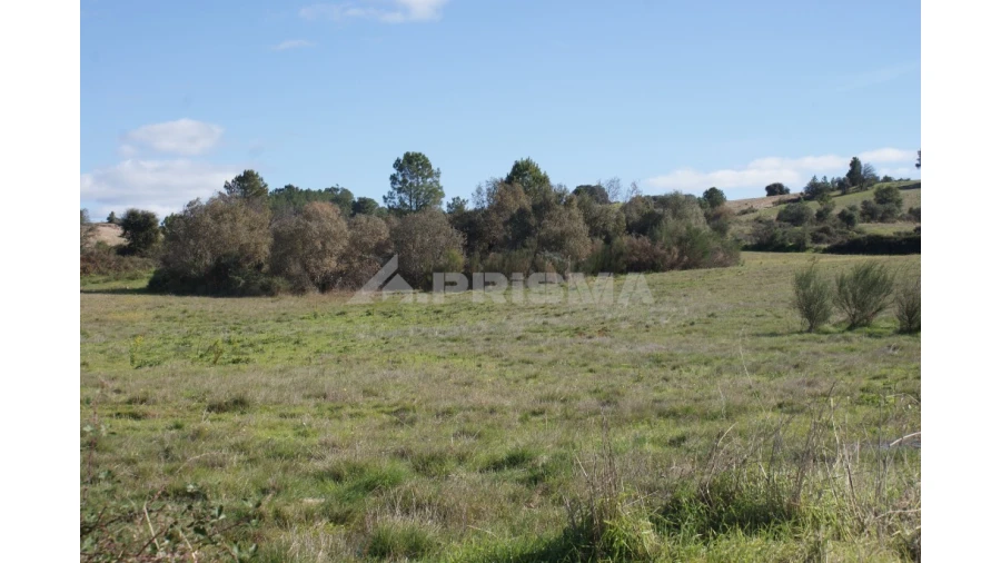 Terreno para Venda em Vale de Prazeres e Mata da Rainha Foto 28
