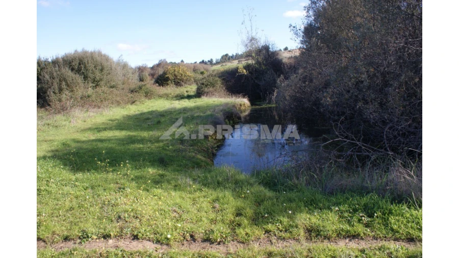 Terreno para Venda em Vale de Prazeres e Mata da Rainha Foto 6