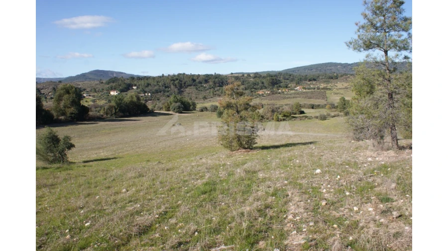 Terreno para Venda em Vale de Prazeres e Mata da Rainha Foto 30