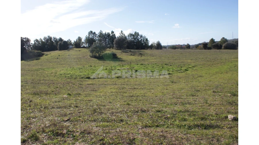 Terreno para Venda em Vale de Prazeres e Mata da Rainha Foto 13