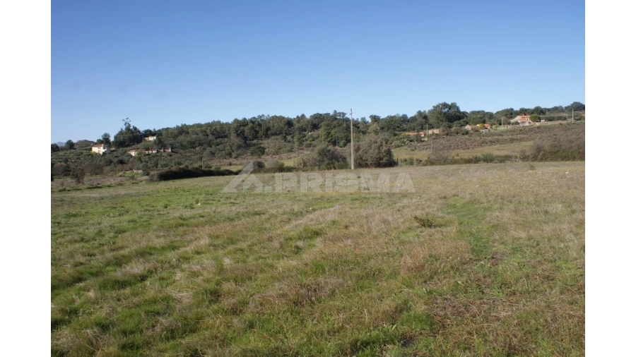 Terreno para Venda em Vale de Prazeres e Mata da Rainha Foto 15