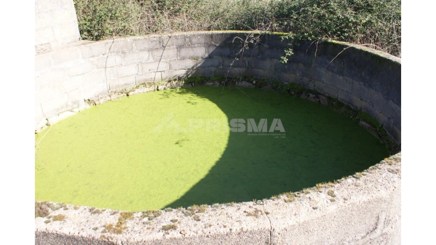 Terreno para Venda em Vale de Prazeres e Mata da Rainha Foto 22
