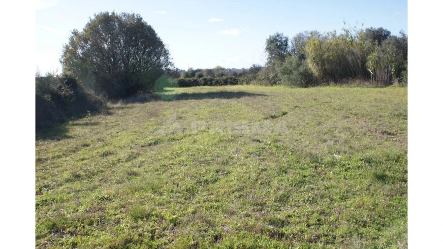 Terreno para Venda em Vale de Prazeres e Mata da Rainha Foto 5