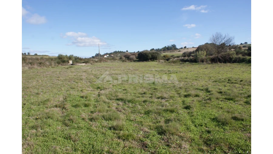 Terreno para Venda em Vale de Prazeres e Mata da Rainha Foto 24