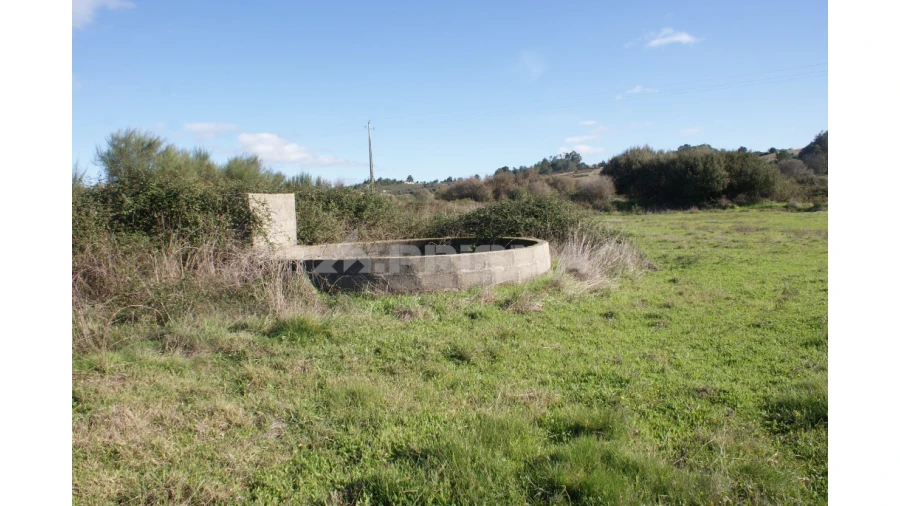 Terreno para Venda em Vale de Prazeres e Mata da Rainha Foto 7