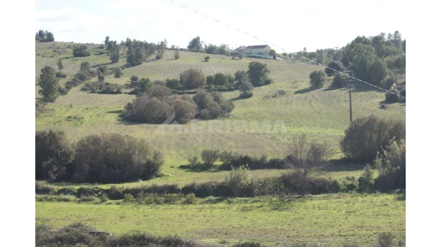 Terreno para Venda em Vale de Prazeres e Mata da Rainha Foto 26